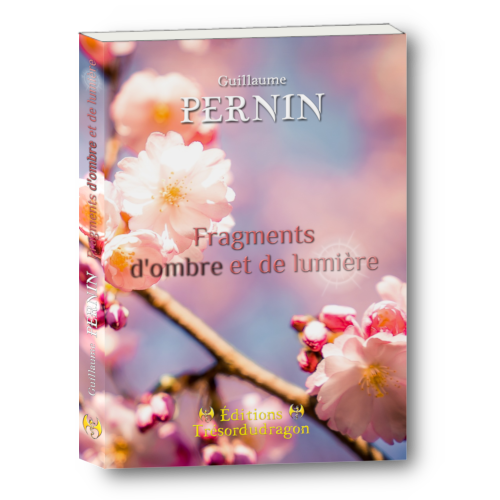 Fragments d'ombre et de lumière